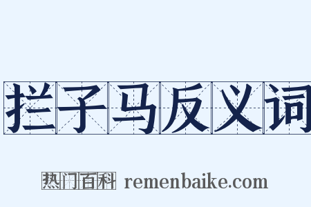 拦子马反义词是什么意思的图片